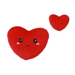 Cojín Calentable FOLLOW YOUR HEART