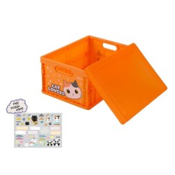 Caja plegable ORANGE CAT