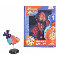 PUZZLE DIDACTICO 4D , CORAZON HUMANO 13 x 9 x 6 cm